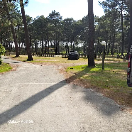 Pinede 25 *