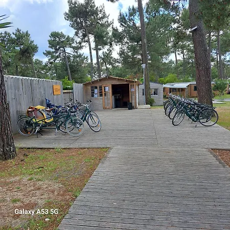 Pinede 25