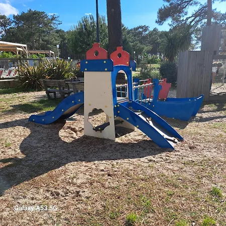 Pinede 25 营地